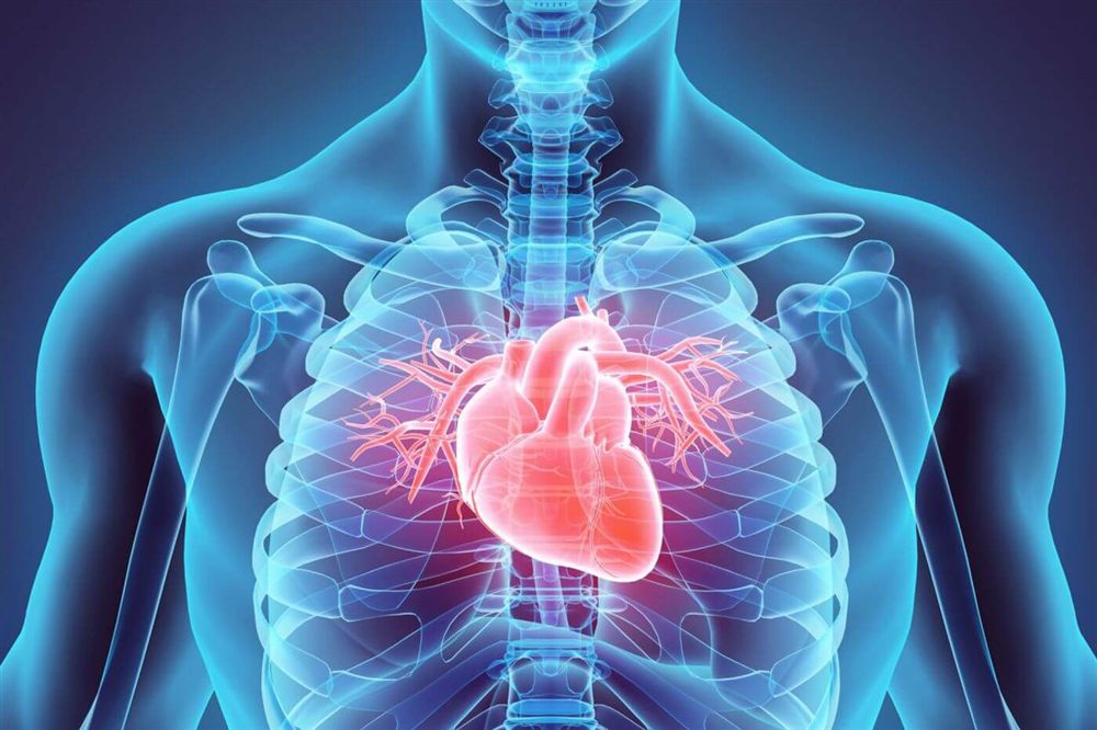 Cardiology